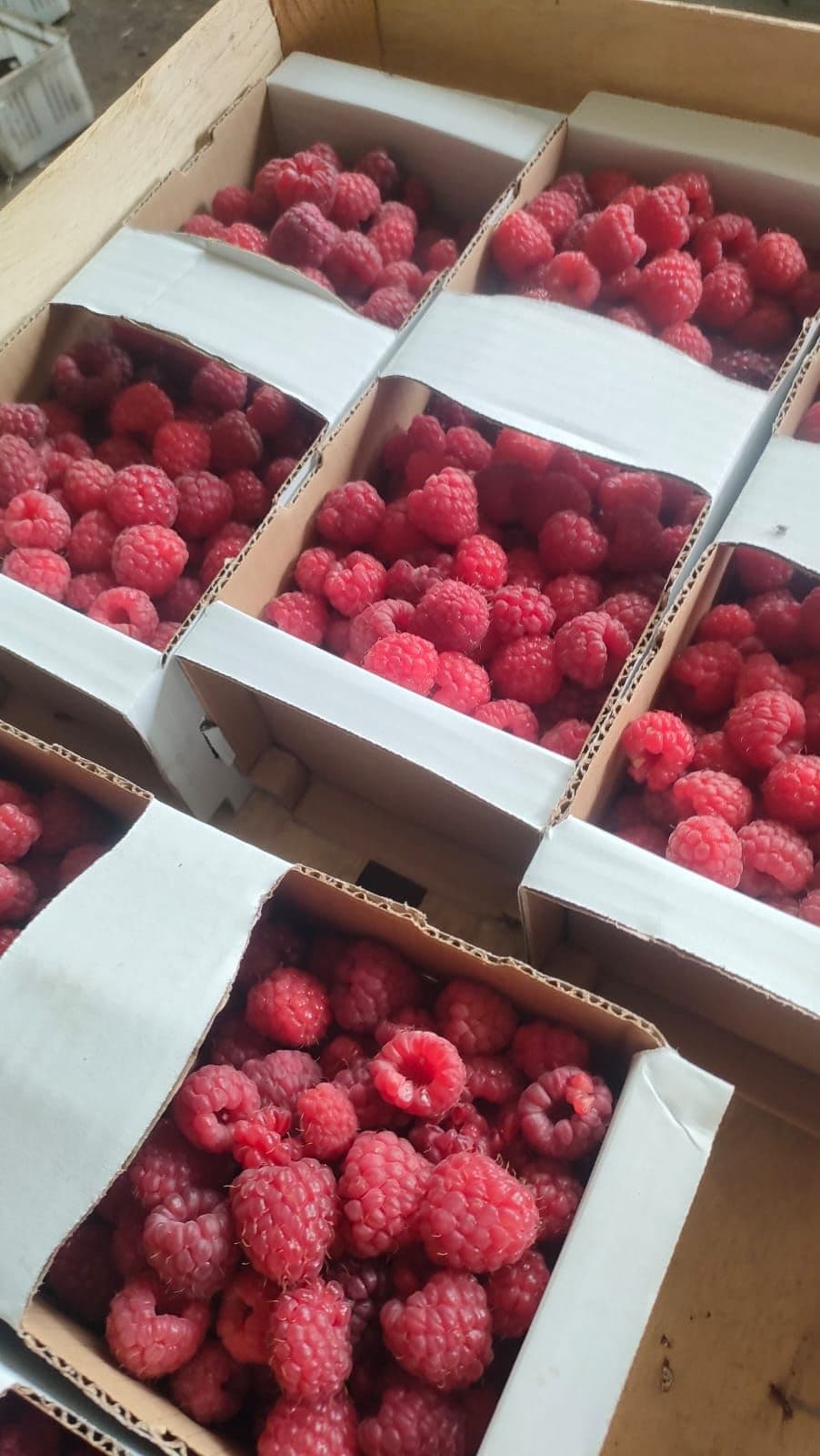 Seasonal and local