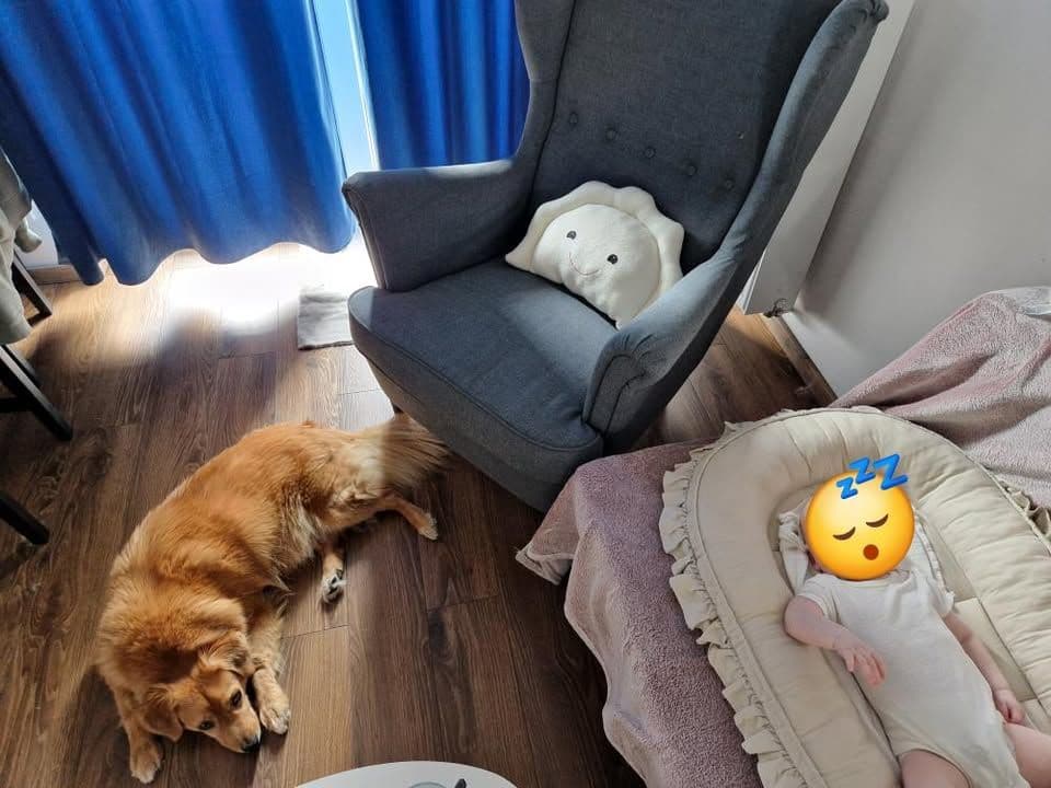 Partner shops across Poland