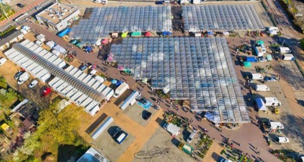 Targowisko Miejskie w Grodzisku Mazowieckim